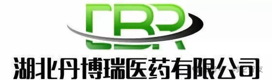智友快讯｜验收！湖北丹博瑞医药DHERP项目验收